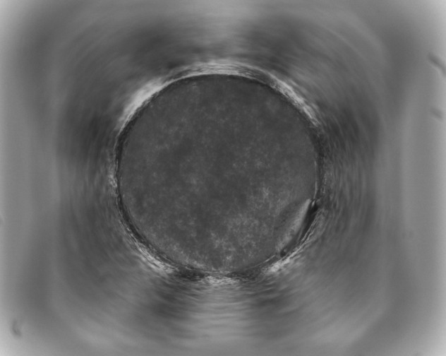 X0000093481312200710261031
