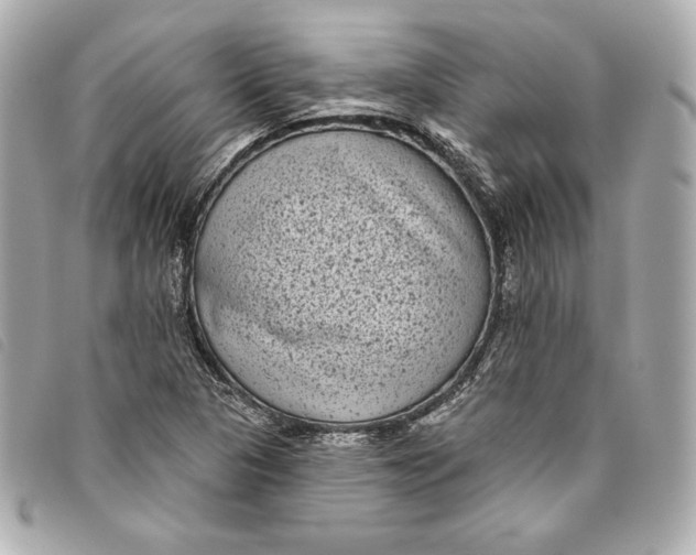 X0000093481313200710261031