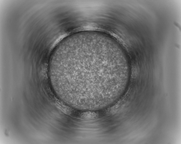 X0000093481314200710261031