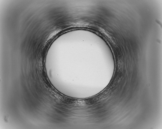 X0000093481315200710261031