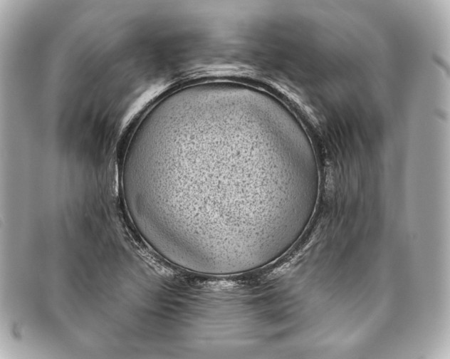 X0000093481317200710261031