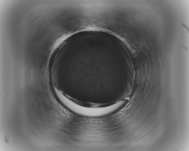 X0000093481319200710261031