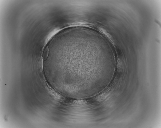 X0000093481320200710261031