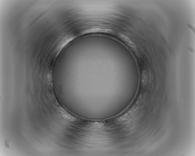 X0000093481321200710261031