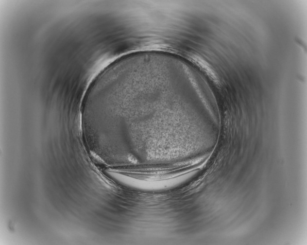 X0000093481324200710261031
