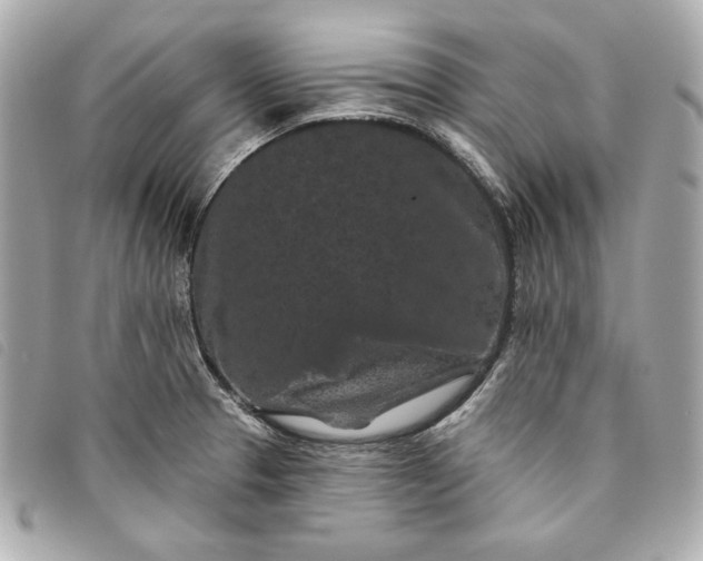 X0000093481329200710261031