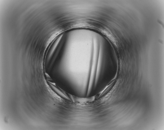 X0000093481330200710261031