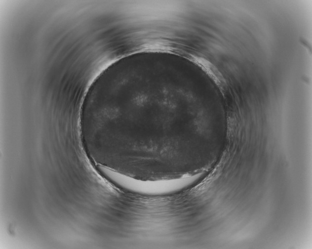 X0000093481331200710261031