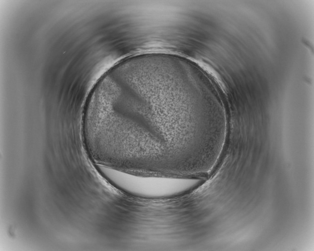 X0000093481333200710261031