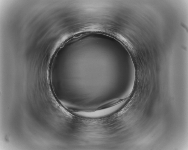 X0000093481334200710261031