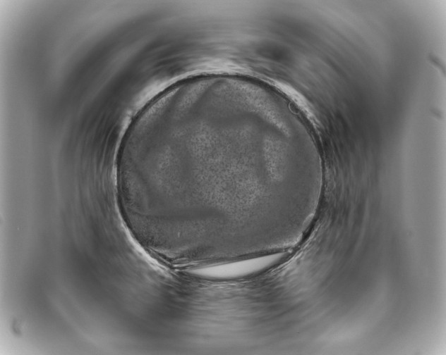 X0000093481335200710261031