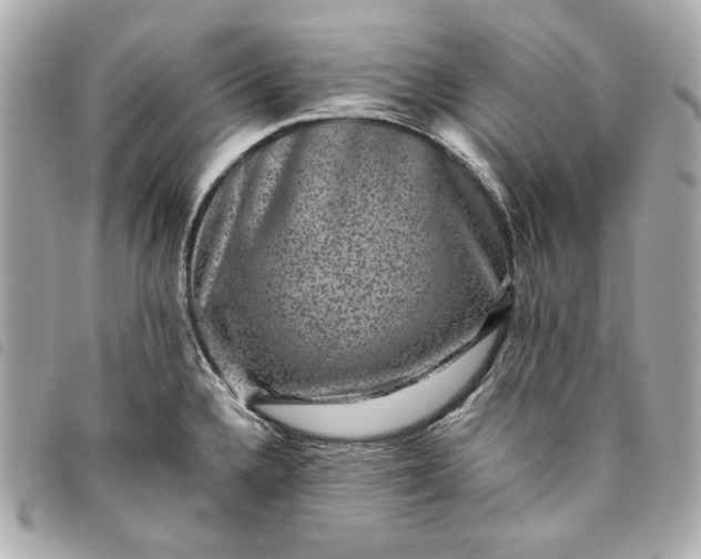 X0000093481336200710261031