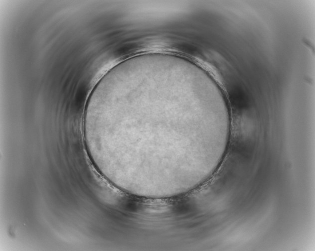 X0000093481338200710261031
