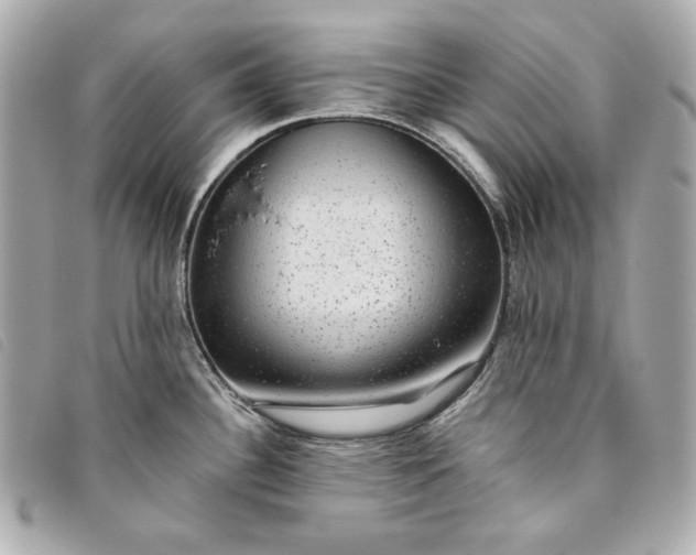 X0000093481340200710261031
