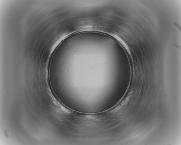 X0000093481341200710261031
