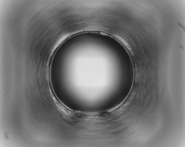 X0000093481342200710261031