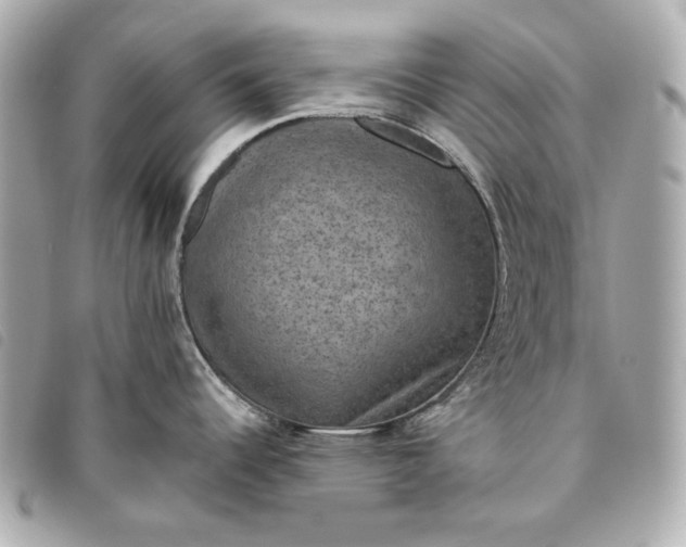 X0000093481344200710261031