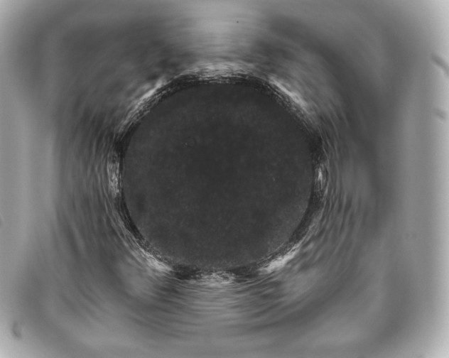X0000093481348200710261031