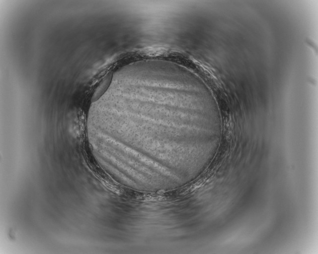 X0000093481349200710261031