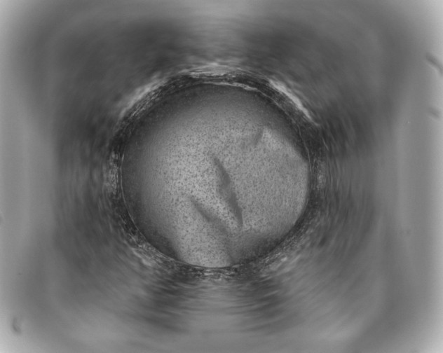 X0000093481350200710261031