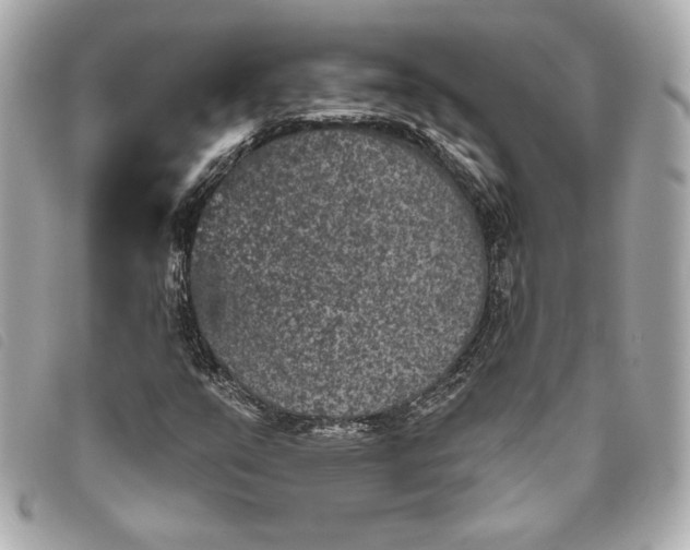 X0000093481351200710261031