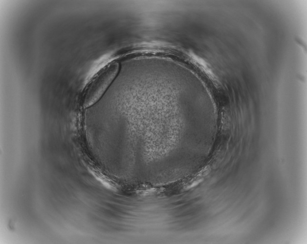 X0000093481352200710261031