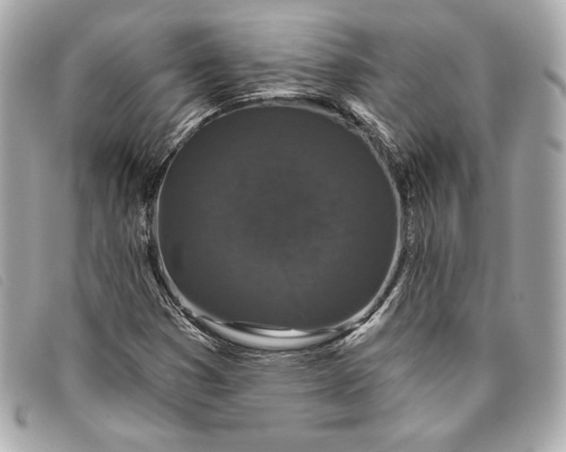 X0000093481353200710261031