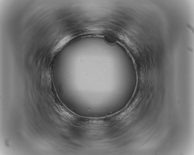 X0000093481354200710261031