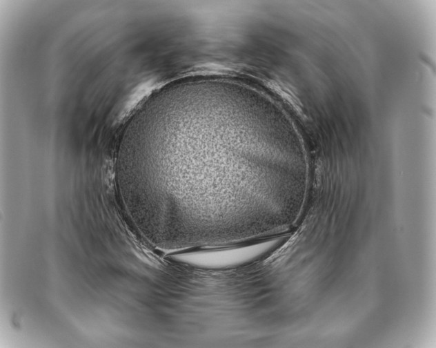 X0000093481355200710261030