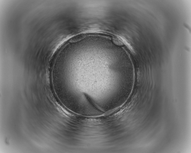 X0000093481356200710261030