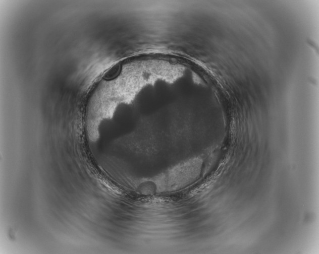X0000093481359200710261030