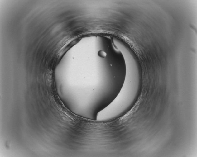 X0000093481361200710261030