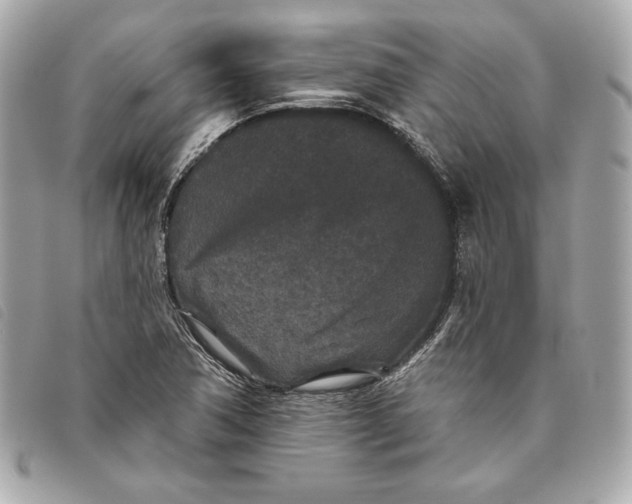 X0000093481362200710261030