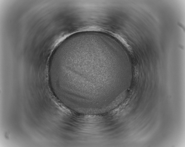 X0000093481364200710261030