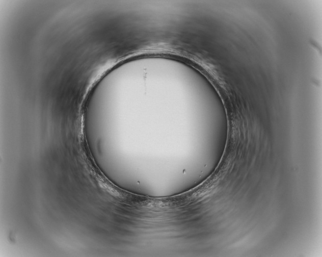 X0000093481366200710261030
