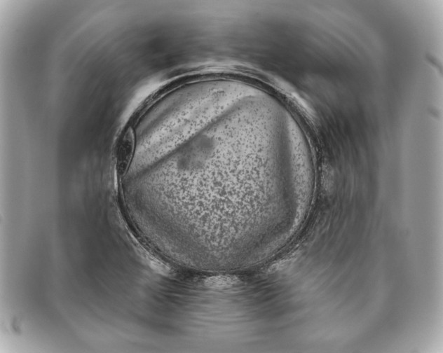 X0000093481368200710261030