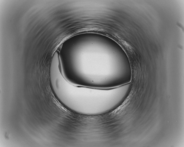 X0000093481369200710261030