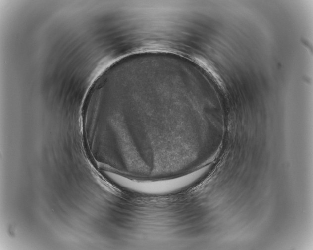 X0000093481372200710261030