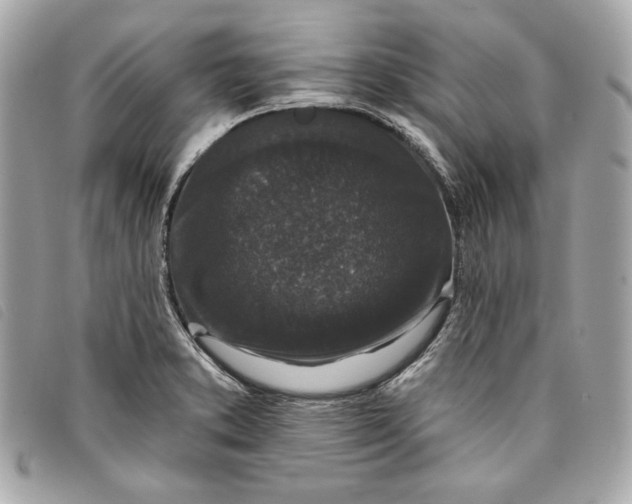 X0000093481373200710261030