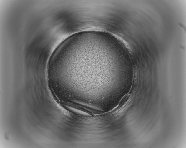 X0000093481375200710261030