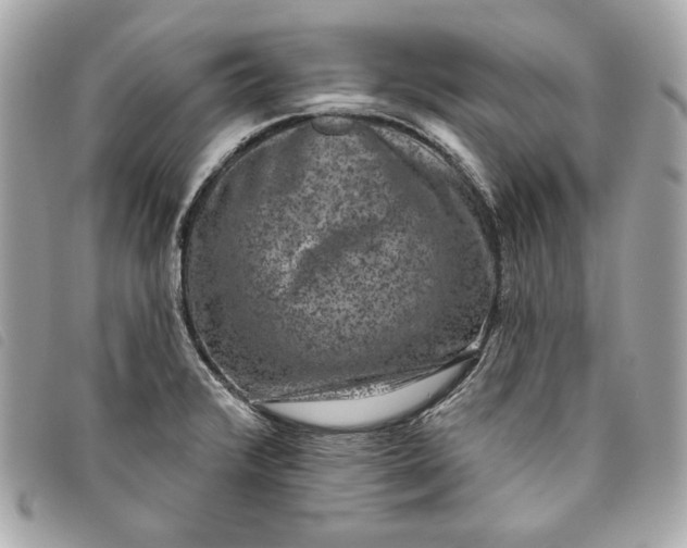 X0000093481376200710261030