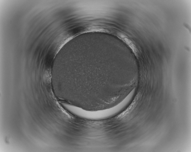 X0000093481377200710261030