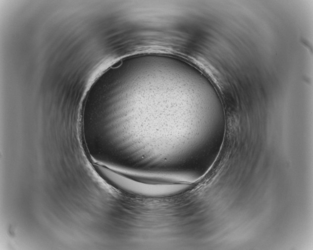 X0000093481379200710261030