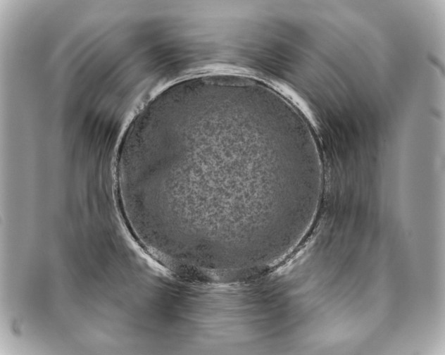 X0000093481381200710261030