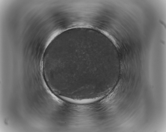 X0000093481383200710261030