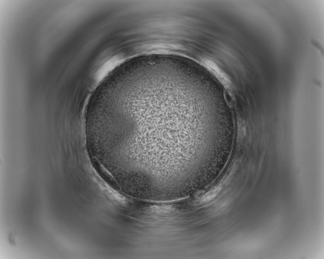 X0000093481384200710261030