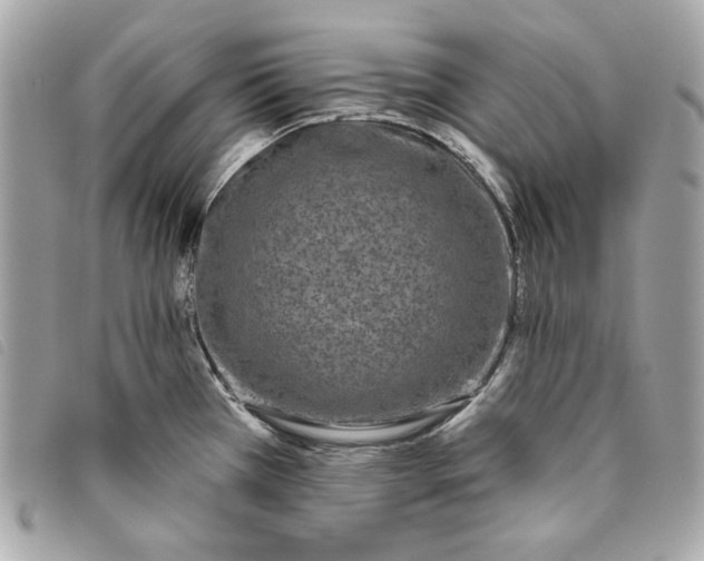 X0000093481385200710261030