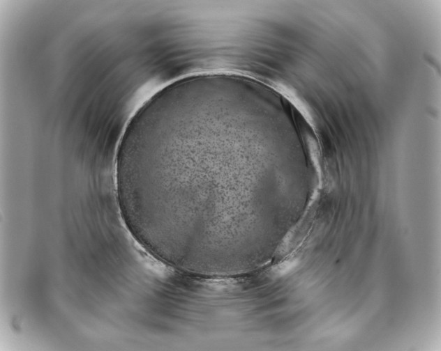 X0000093481388200710261030