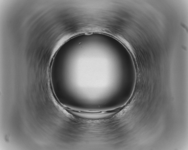 X0000093481389200710261030