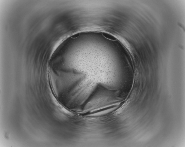 X0000093481390200710261030